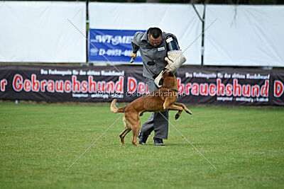 Fiasko vom Haus Mecki