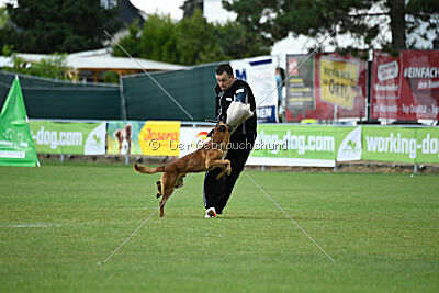Fiasko vom Haus Mecki