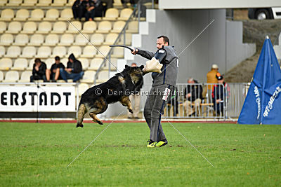 Fight von der Weißen Elster