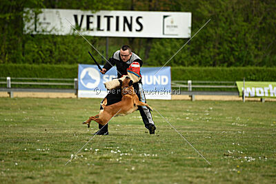 Findus von Maliattack