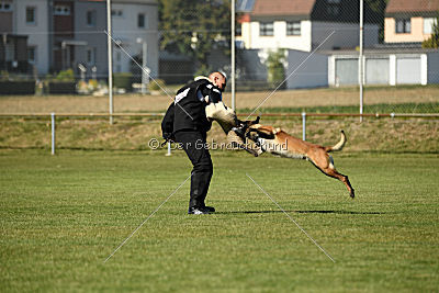 Finn von den Räuberwegen