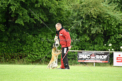 Fire vom schnellen Falken