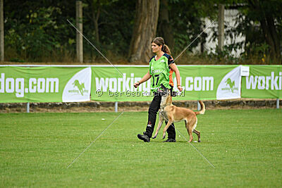 Fire vom schnellen Falken