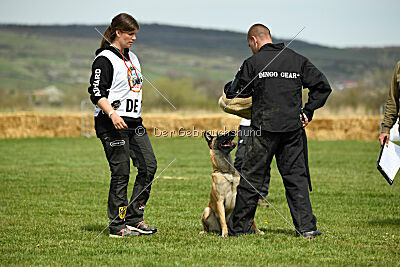 Fire vom schnellen Falken