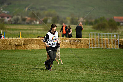 Fire vom schnellen Falken