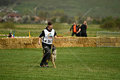 Fire vom schnellen Falken