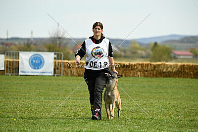 Fire vom schnellen Falken