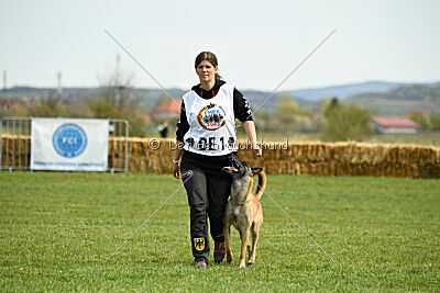 Fire vom schnellen Falken