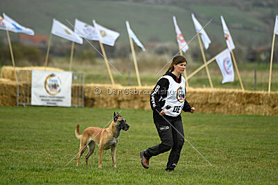 Fire vom schnellen Falken