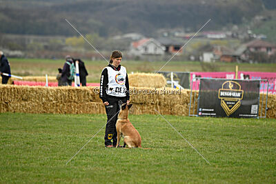 Fire vom schnellen Falken