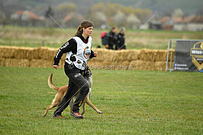 Fire vom schnellen Falken