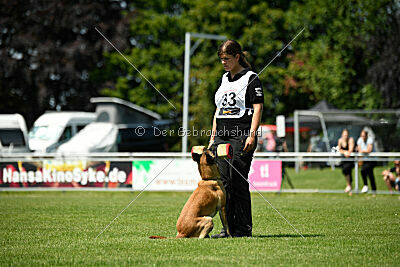 Fire vom schnellen Falken