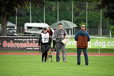 Fire vom schnellen Falken