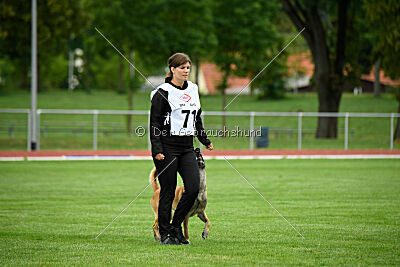 Fire vom schnellen Falken