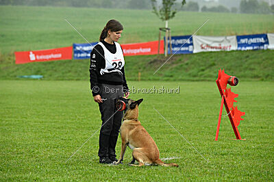 Fire vom schnellen Falken