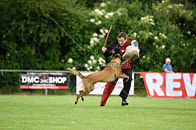 Flick vom roten Drachen