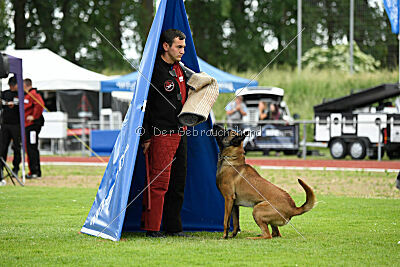 Flick vom roten Drachen