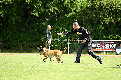 Flick vom roten Drachen