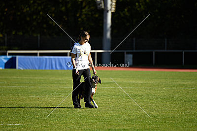 Foster von der Mörike Allee