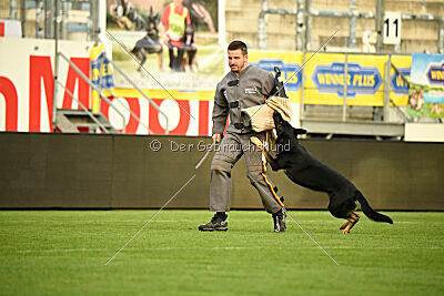 Fräulein Fibi vom Alten Bernauer Heerweg