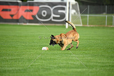 Freak von Malihattan