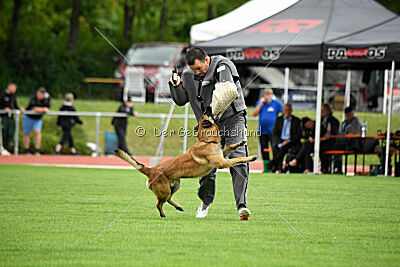 Freak von Malihattan