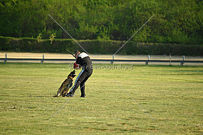 Freak von Malihattan