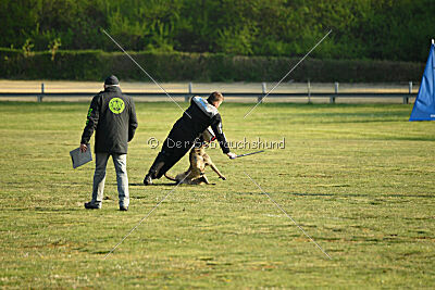 Freak von Malihattan