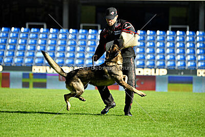 Freddy Tespo Bohemia