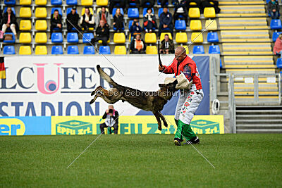 Freddy Tespo Bohemia