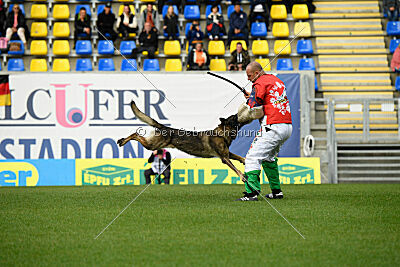 Freddy Tespo Bohemia