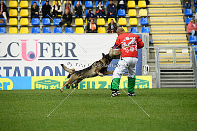 Freddy Tespo Bohemia