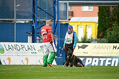 Freddy Tespo Bohemia