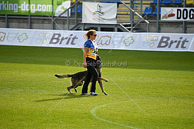 Freddy Tespo Bohemia