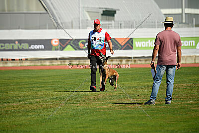 Freestyle de la Videmanette