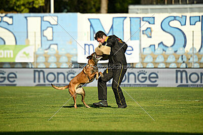 Freestyle de la Videmanette