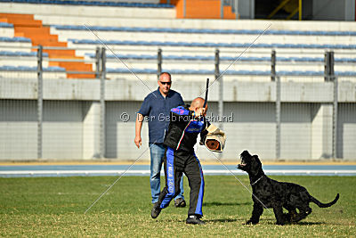Frenklin ze Slunecné verandy
