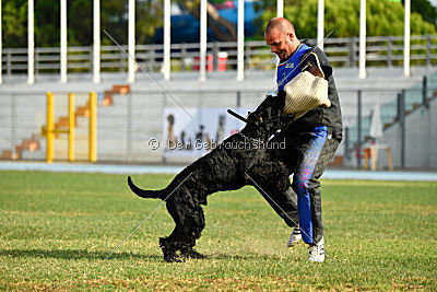 Frenklin ze Slunecné verandy
