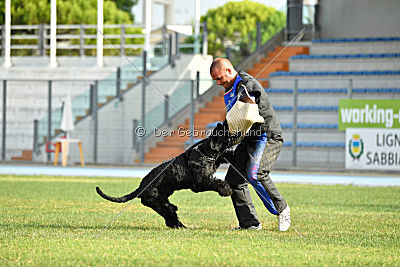 Frenklin ze Slunecné verandy