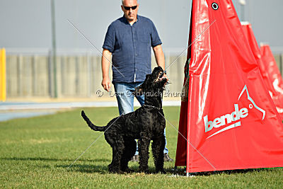 Frenklin ze Slunecné verandy