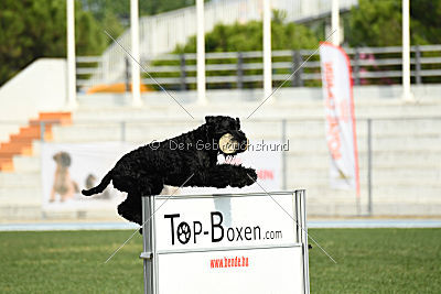 Frenklin ze Slunecné verandy