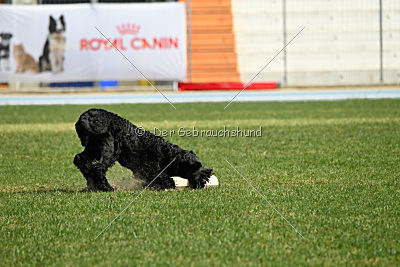 Frenklin ze Slunecné verandy