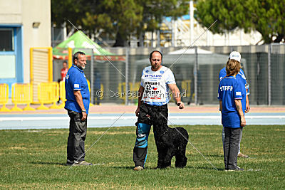 Frenklin ze Slunecné verandy
