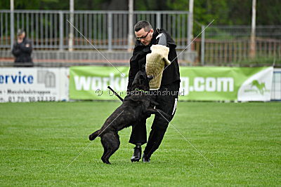 Frenzy's Ferrari of Flying Attacks