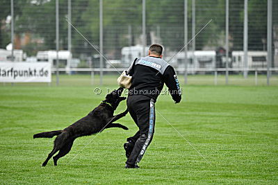 Frenzy's Ferrari of Flying Attacks