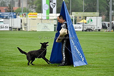 Frenzy's Ferrari of Flying Attacks