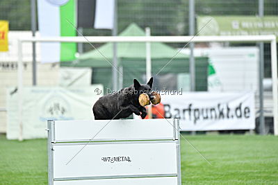 Frenzy's Ferrari of Flying Attacks