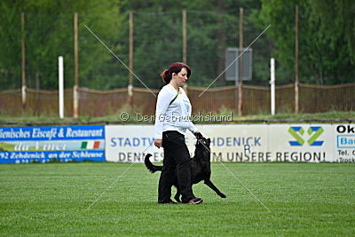 Frenzy's Ferrari of Flying Attacks