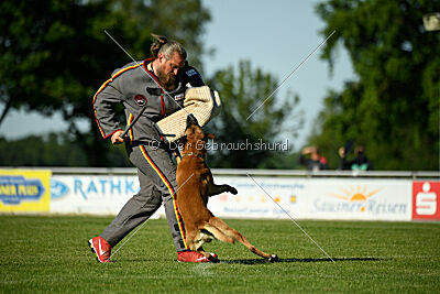 Friedel vom schnellen Falken