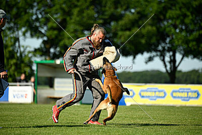 Friedel vom schnellen Falken